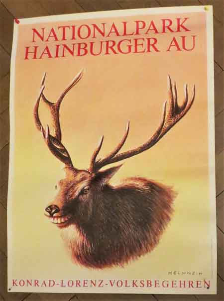 Plakat Hainburger Au